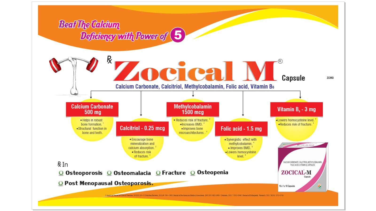 Zocical M